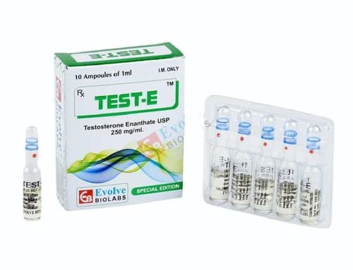 TEST-E Testosterone Enanthate USP 250 mg/ml product image 1
